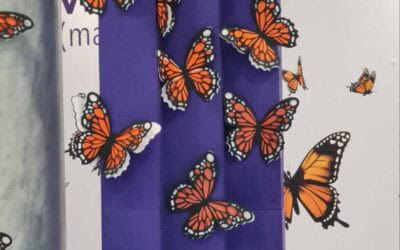 Bandadas de mariposas