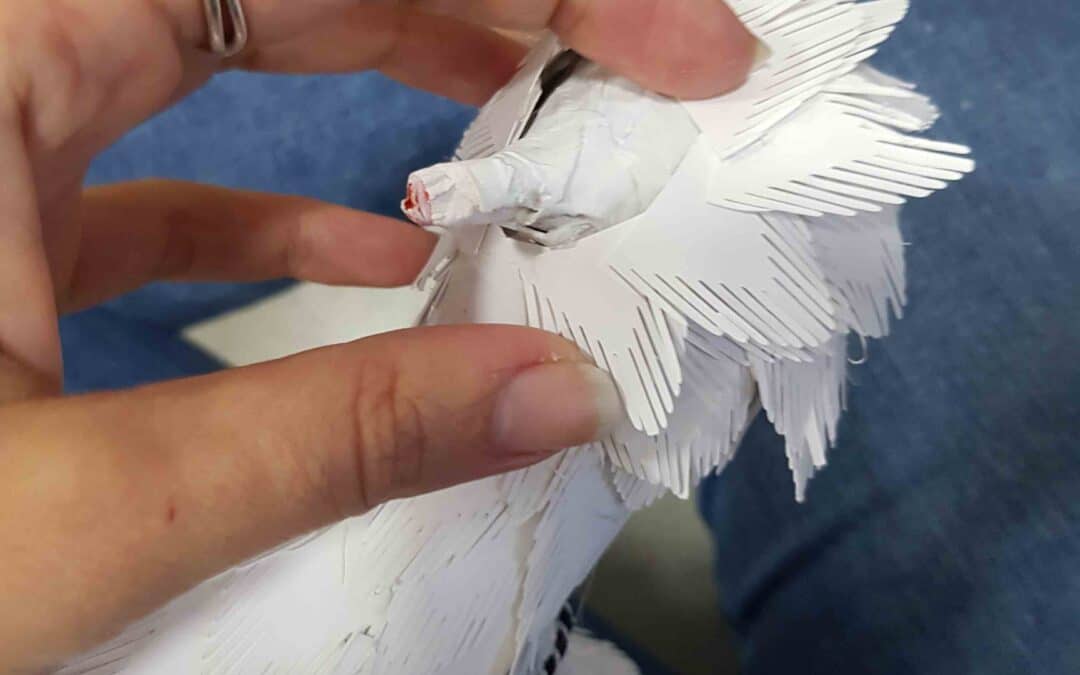 Batallón de pavitos reales albinos