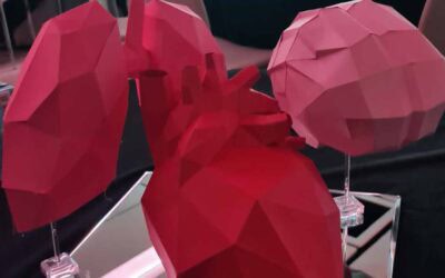 Vértices que dan vida